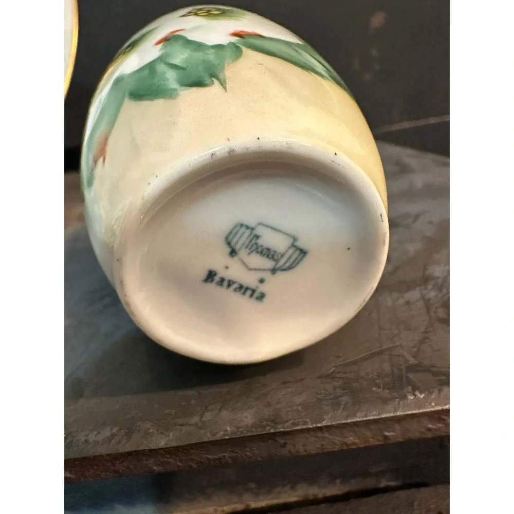 Vintage‎ 1944 Royal Bavarian Hutschenreuther Plate & Thomas Bavaria Cup Set